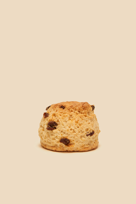 ROSINEN SCONE